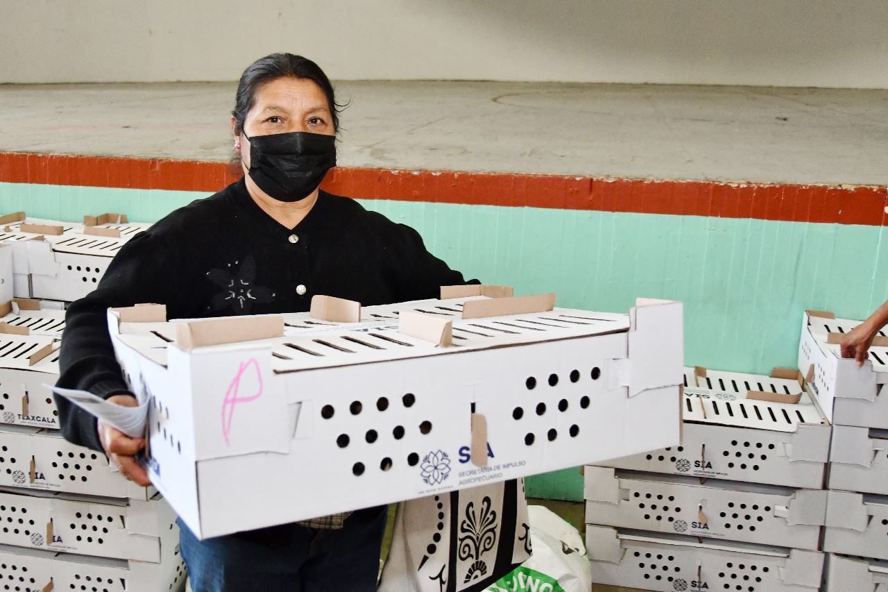 Invita Ayuntamiento de Huamantla a adquirir paquetes de especies menores a bajo costo